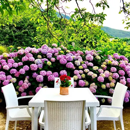 Holiday home Il Ciliegio *